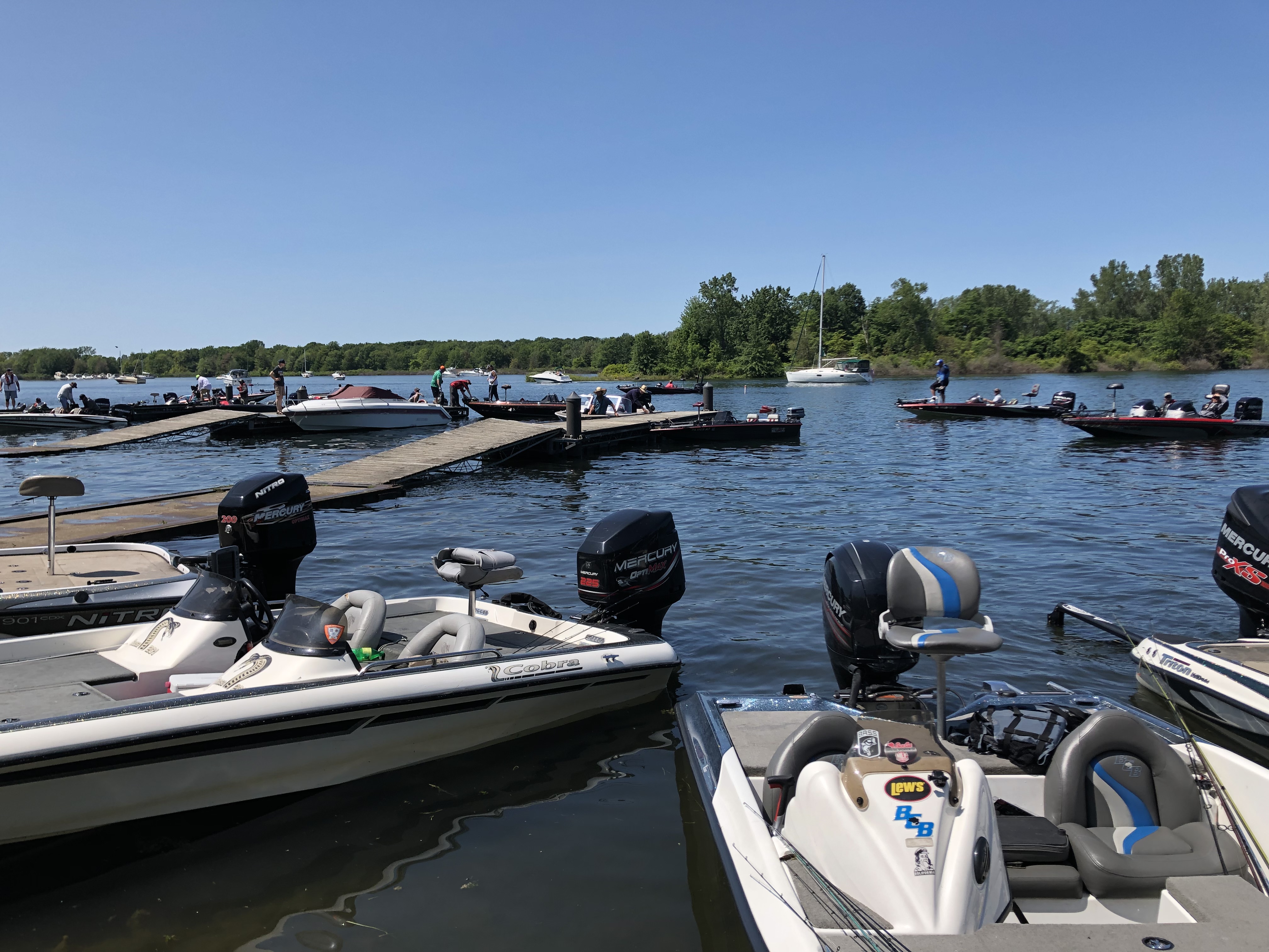 IMG 1609 v2